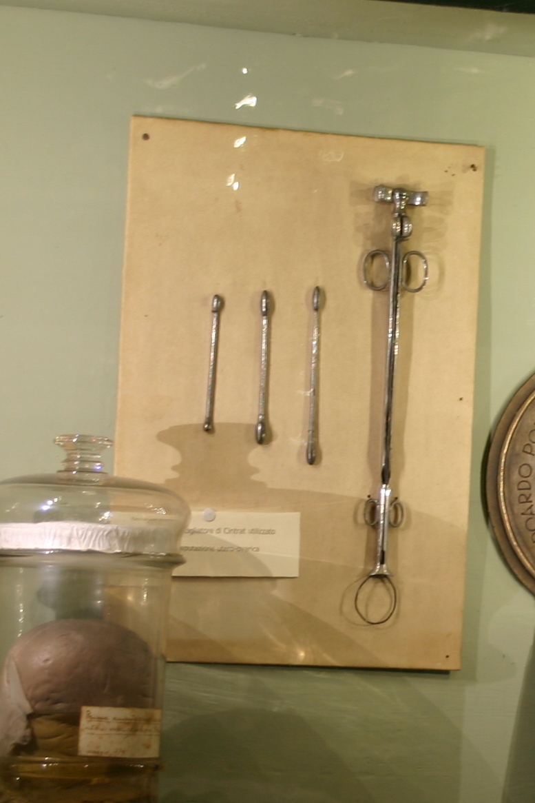 Edoardo Porro's memorabilia, Museo per la Storia dell'Università, Pavia - 03.JPG